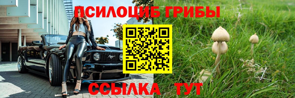 Галлюциногенные грибы мицелий  Вход с VPN  Кудрово 